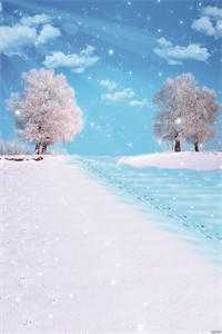 阅读全集豪门甜宠：贺少的替嫁新娘