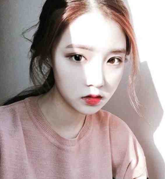 复仇反击在出狱后完整