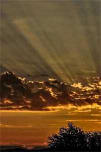 跨过泥沼来爱你：全文+后续免费阅读无弹窗大结局_顾行舟孟晚最新章节列表_笔趣阁篇章