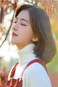 凌霄花落与君决：全文+后续+大结局目录