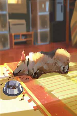 卫生巾塌房后广告+结局