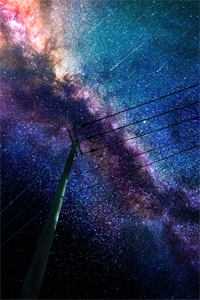 禁欲佛子痴宠小白花试读