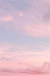 明月已如烟试读