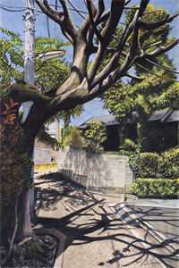 爱恨已去，徒留碎梦满地推介