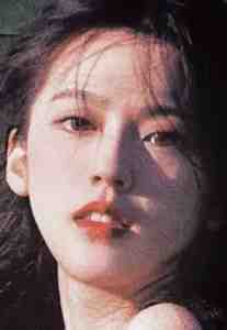 去时惹尘埃，归来月犹在：全文+结局+番外全文