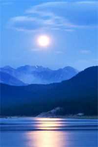 再遇绑架，渣夫让我自己想办法苏夏顾帆全文