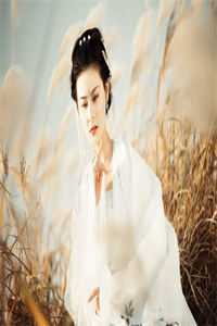 霸总太多我不想撩，唯爱女主才最棒全篇