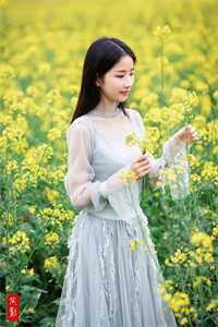 我自寻春去：结局+番外最新章节列表_我自寻春去：结局+番外全文+后续+结局在线阅读无删减版