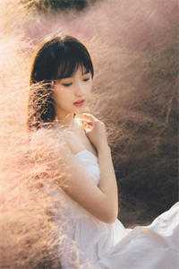 哄她入局畅销巨著