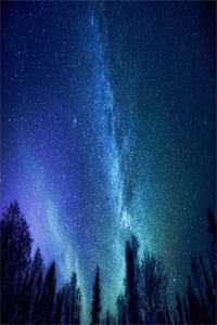 重生后，九爷他甘愿当工具人后续+完结