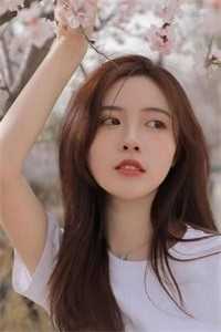 心的第七次颤动无删减+无广告