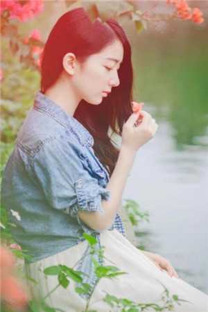 愿你不染人间愁什么小说