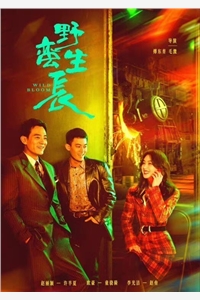 告别破碎婚姻后我向死而生：全文+后续最新章节列表_告别破碎婚姻后我向死而生：全文+后续结局篇+番外在线阅读在线最新免费小说在线阅读全集听书