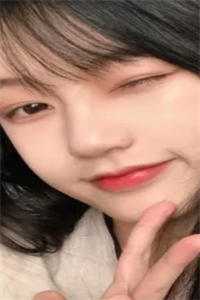 白首无悔坠梦楼沈修文陆知意全章节在线阅读全本在线阅读