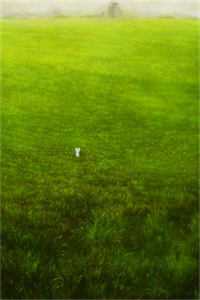 好好先生的真实面目连荷居延免费小说在线阅读全集听书