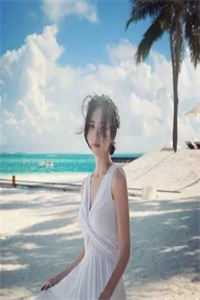 烟火照夜白+后续高分言情温南枝沈清宴的小说完结版免费阅读