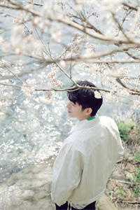 落青梅，佛前几度相思泪陆景琛宋佳音全章节在线阅读有声小说