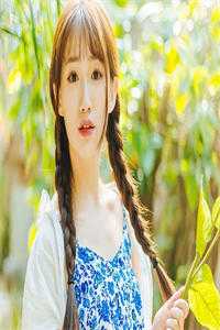 幽思燃烬忘川路叶墨谨迟少瑜完整版免费阅读已完结小说