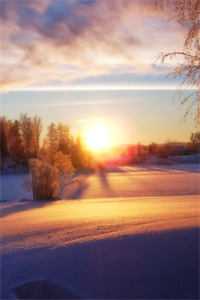 女儿在幼儿园失踪后，我杀疯了诗涵周明泽全章节在线阅读有声小说