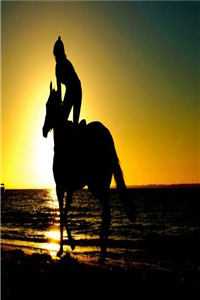 +顾南宸江映棠全文免费阅读无弹窗大结局_最新章节列表_笔趣阁在线最新抖音小说全章节阅读完结版免费阅读