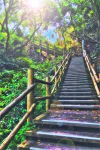 闺蜜的狗厂李丽李丽刚全文免费阅读无弹窗大结局