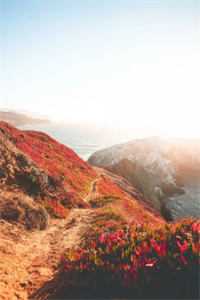 被情人的姐姐冒充后，我上位成了新首富慕庭琛慕子珩全集在线阅读下载