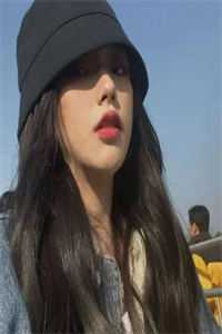 月光洒下离人巷谢诚景洛婉雪完结版免费阅读全本在线免费阅读