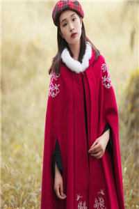 官场奇才：最强靠山竟是我自己李霖李澜全集完整版在线免费阅读小说