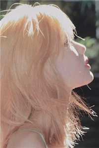 穿越：我在神雕世界当霸主郭芙杨过全章节阅读,全文免费在线阅读