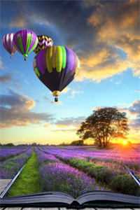 通房多娇：误惹权臣她插翅难逃辛夷朱荷全本免费在线阅读完结版免费阅读