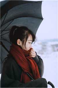 离婚后，霸总爱刷存在感乔贝傅檀修完结版阅读最新章节在线阅读