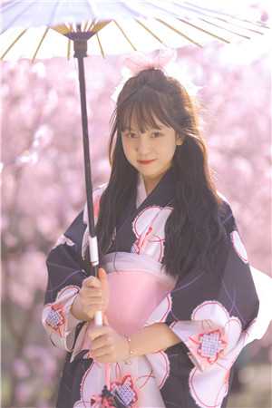 微风轻拂又见你陆沉林书意全文免费大结局阅读全集在线阅读小说