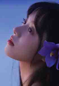 位居省委，开局被妻子举报苏玉黎锦抖音小说全章节阅读完结版免费阅读