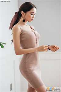 洛婉雪谢诚景:优质全文免费完结版免费在线阅读txt