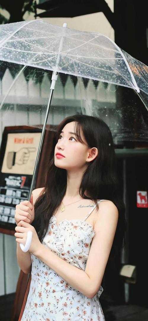 她已走远苏然霍霆舟全章节笔趣阁小说在线阅读