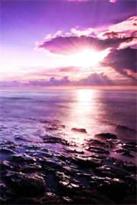 表姐的婚礼，我的葬礼何穗穗方好好全本在线免费阅读