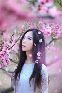 女总裁谈情，我被动入坑林震李若曦免费小说在线阅读最新章节