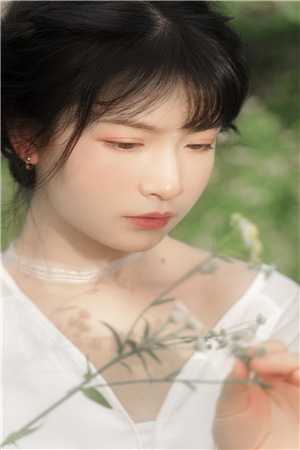 旧梦不曾温:全部目录顾南乔纪时晏完整版免费阅读全章节在线