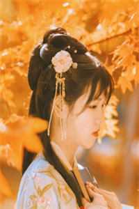 明月昭昭不照我赵袅袅陈璟全集在线阅读完整版txt在线阅读