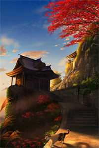 十年纠缠：脑癌晚期，我选择了放手！林婉裴昭全文免费阅读无弹窗大结局