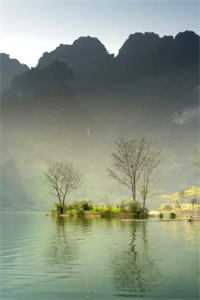 幽思燃烬忘川路叶墨谨迟少瑜全文在线阅读精彩小说