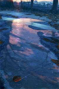 逼我兼祧两房后，他们悔疯了倩倩夏寒川完整版免费在线阅读