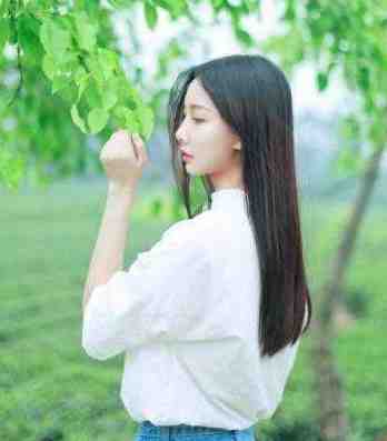 从此星辰远，归途似海深璃月战辰的小说完结版免费阅读