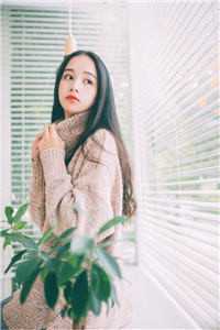 重生：开局收获校花妈妈大师级秘书！陈默苏韵全集免费在线阅读下载