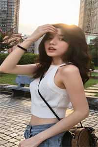 昨夜星辰今已沉陆明川沈婉全文免费阅读全集在线阅读