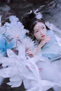 念念不忘沈淮陈梨完结版免费阅读全本在线