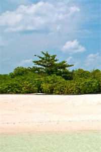 姐姐为暴富重伤傅家金孙后火葬场了傅家金孙江瑶全章节笔趣阁小说在线阅读