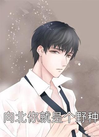 绑定学习系统，今天是学神女主播！宋以茉祁司宴全本小说笔趣阁完整版免费阅读