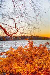 阮雾梨闻砚辞：删减内容修复版本阮雾梨闻砚辞全文免费阅读最新章节阅读