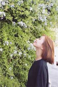 未逢仍念往江稚虞宋堰川完结版阅读完结版全本小说在线阅读